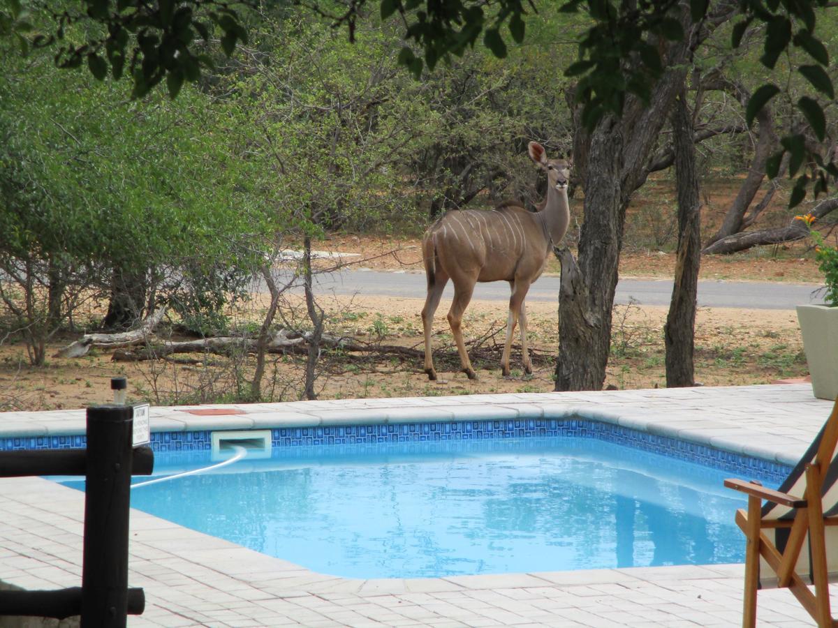 Woodpecker Lodge B&B Hoedspruit Exterior foto